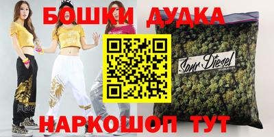 МДПВ Славгород