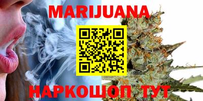 МДПВ Славгород