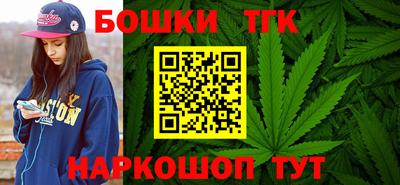 МДПВ Славгород