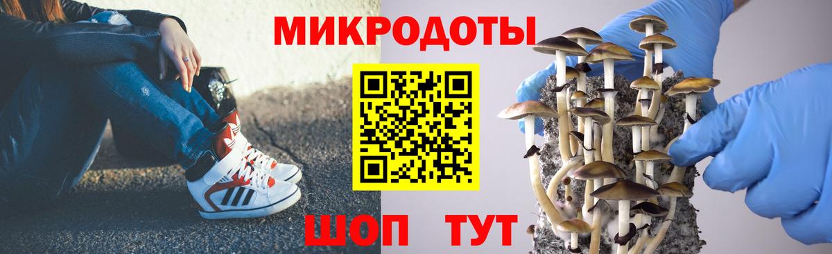 Галлюциногенные грибы GOLDEN TEACHER Надым